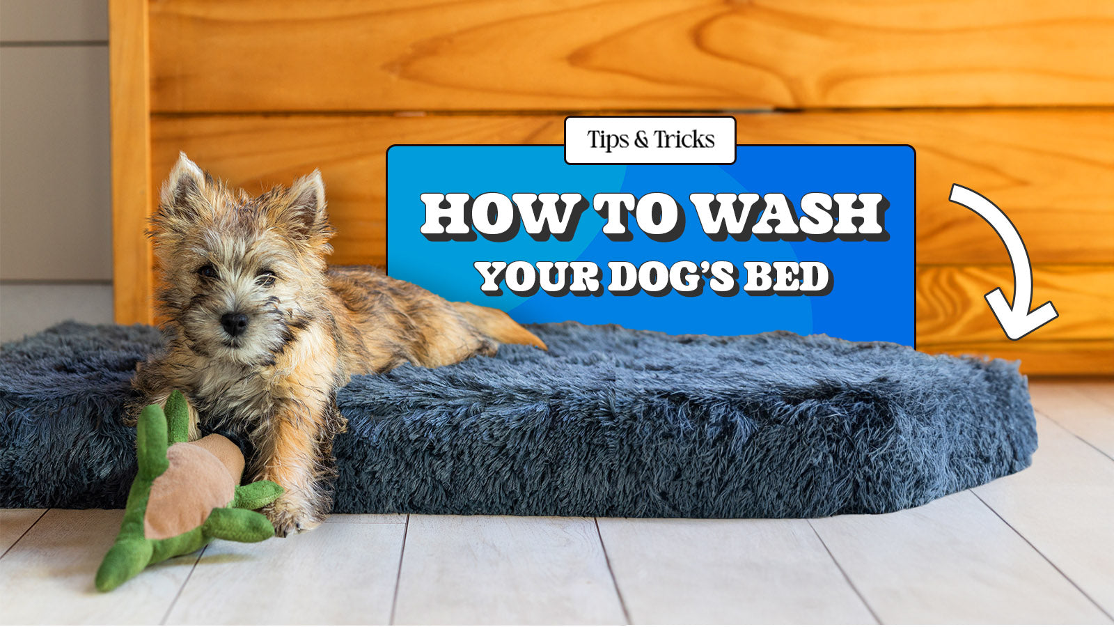 Kong dog outlet bed washing instructions