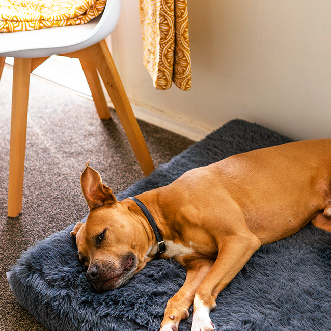 Brooklyn® Memory Foam Bed