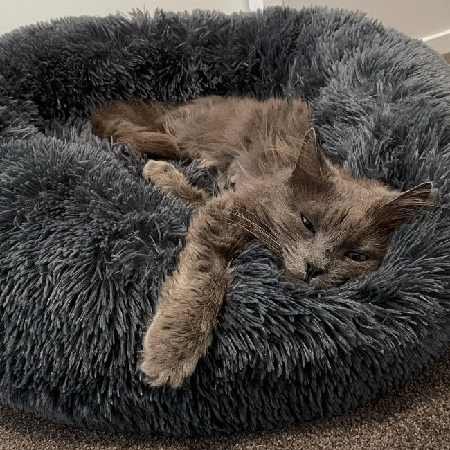 Deep cat sale bed