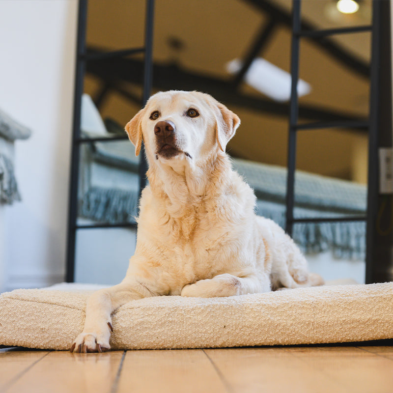 Brooklyn® Cooling Boucle Cover