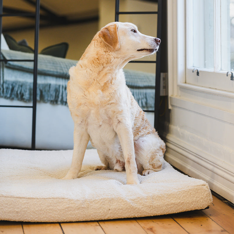 Brooklyn® Cooling Boucle Cover