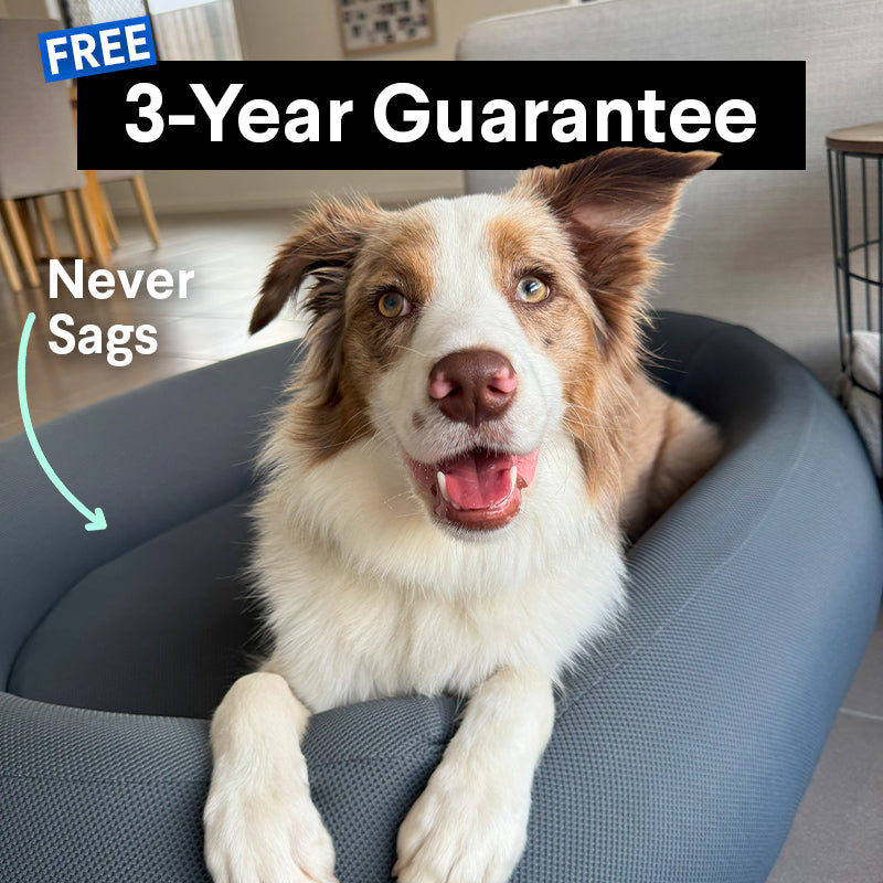 Brooklyn® Cooling Nest Dog Bed