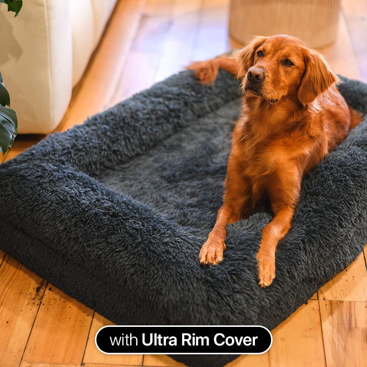 Brooklyn® Memory Foam Bed