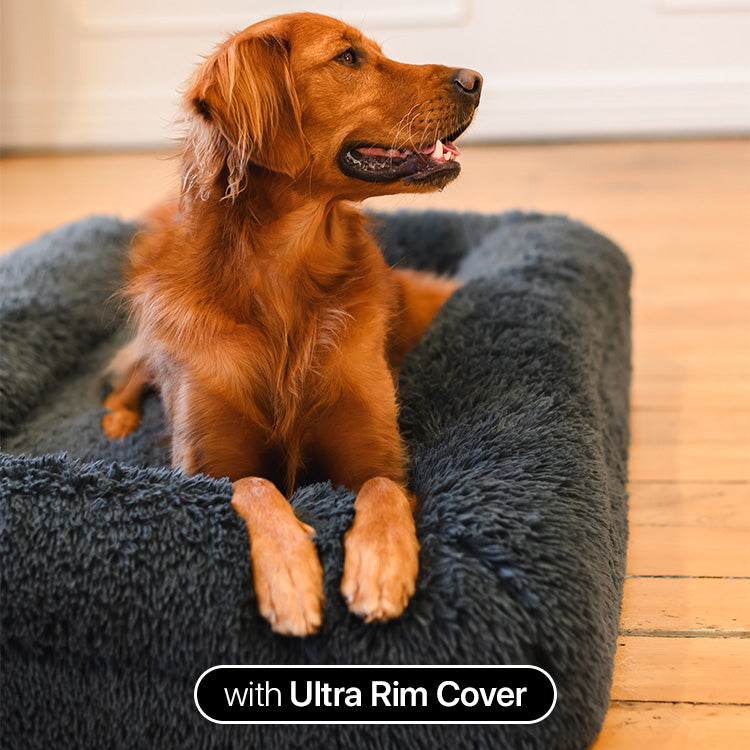 Brooklyn® Memory Foam Bed