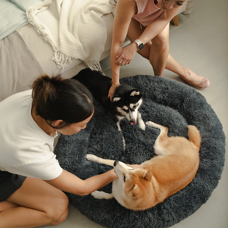 Brooklyn® Deep Sleep Pet Bed