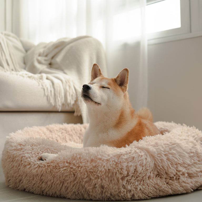 Brooklyn® Deep Sleep Pet Bed