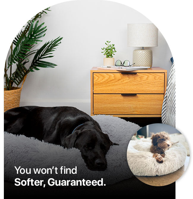 Brooklyn® Deep Sleep Pet Bed Singapore's Favourite Dog Bed The